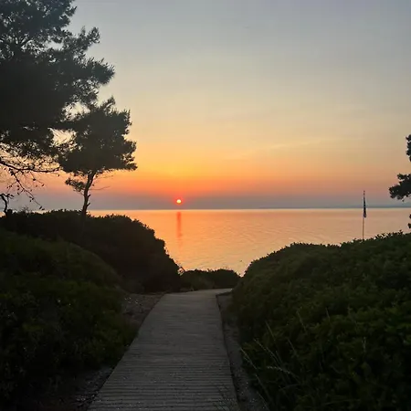 Seaside Nest Cozy In Halkidiki *